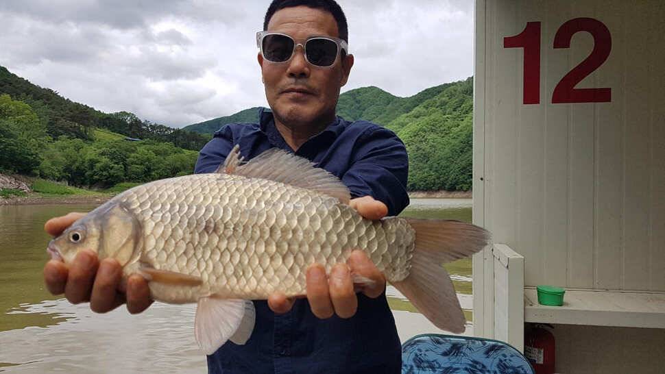 하천 48cm 초대물로 시즌 출발 명서도 4짜 대물붕어 조황 (조황조행기 - 특파원조황)