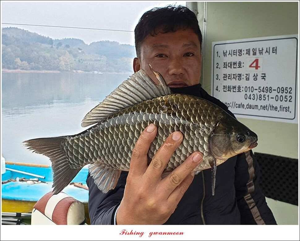 제일돌감칠성지 월척 조황 (조황조행기 - 특파원조황)