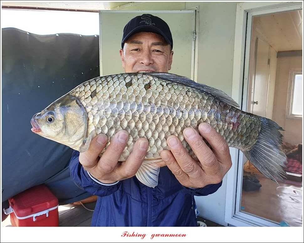 제일 41cm403 cm40 cm40 cm395 cm대물 조황 (조황조행기 - 특파원조황)