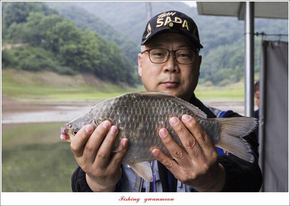 한버들 43 cm목벌 4 짜 2 수솔 낚시터사오리 월척 조황 (조황조행기 - 특파원조황)