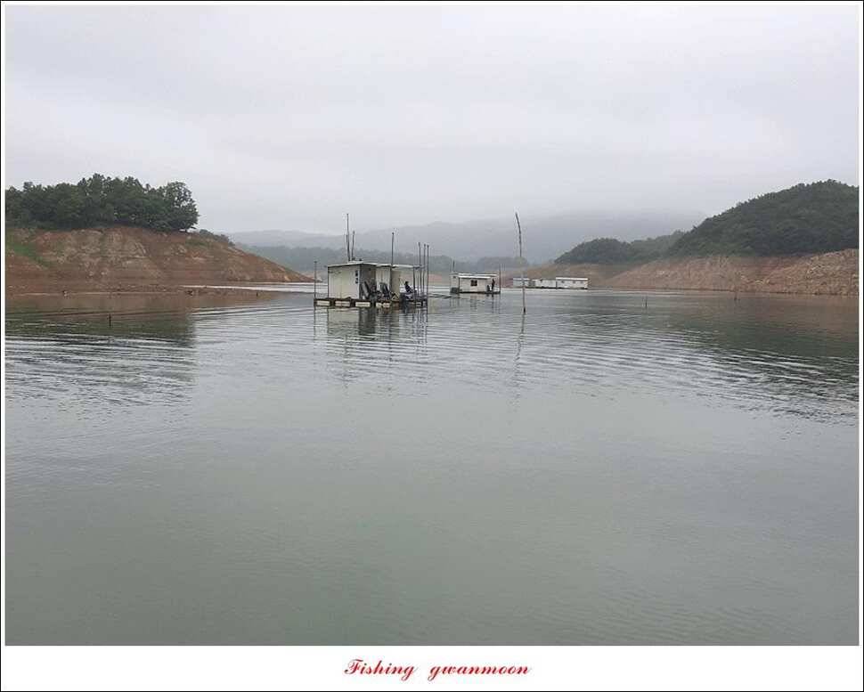 돌감 좌대칠성지 월척 달천강 사짜 및 월척 조황 (조황조행기 - 특파원조황)