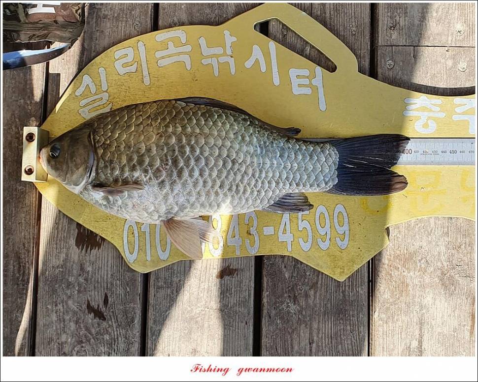 신리 4 짜 7 수실리곡 4 짜 4 수한버들 4 짜 3 수 (조황조행기 - 특파원조황)
