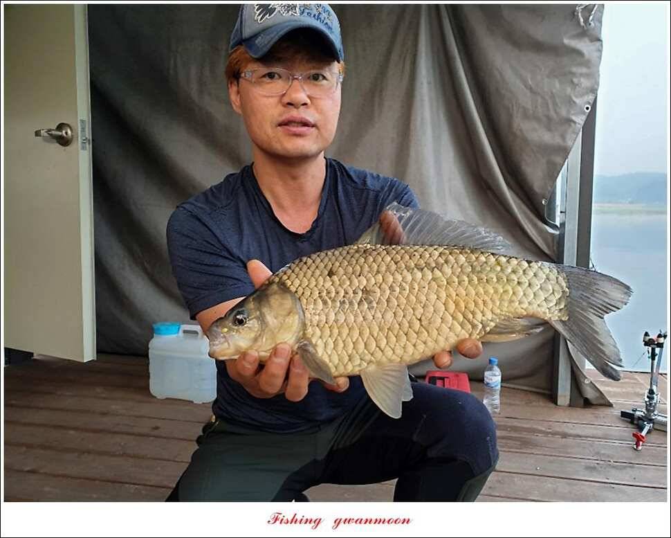 제일 4 짜종점 4 짜달천강 4 짜 조황 (조황조행기 - 특파원조황)
