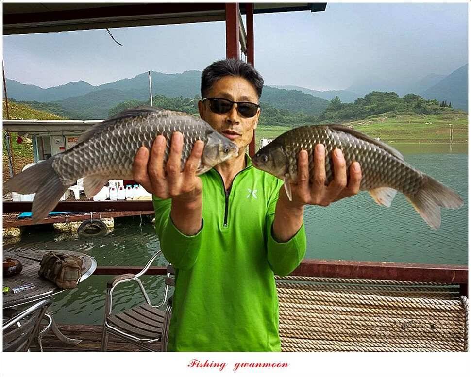 돌감신매 허리급 월척 조황 (조황조행기 - 특파원조황)