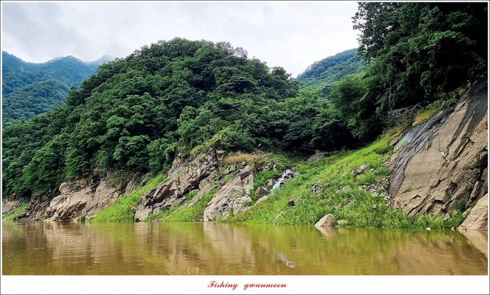 충주호 2 차 오름수위명서목벌화곡지 조황 (조황조행기 - 특파원조황)