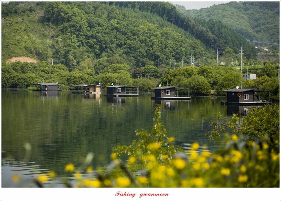 화곡지 조황 (조황조행기 - 특파원조황)