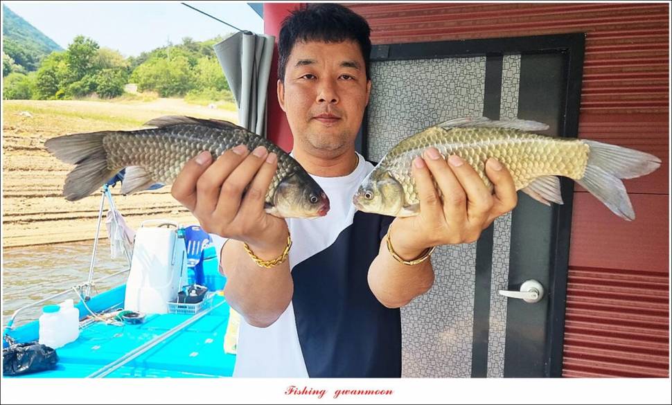 솔 낚시터 4 짜화곡지 4 짜 및 월척 조황 (조황조행기 - 특파원조황)