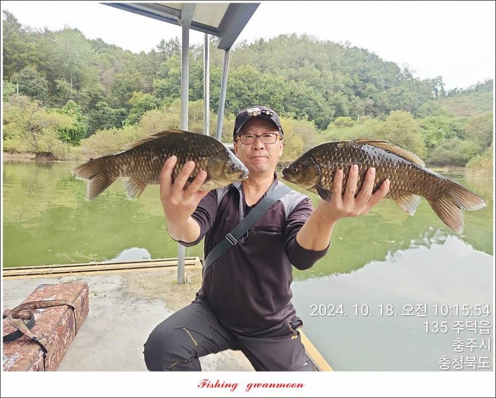 용원지화곡지 4 짜 조황 (조황조행기 - 특파원조황)