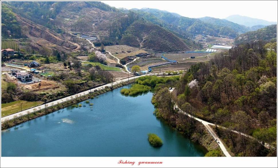 화곡지 4 짜 및 마릿수 월척소이지 조황 (조황조행기 - 특파원조황)