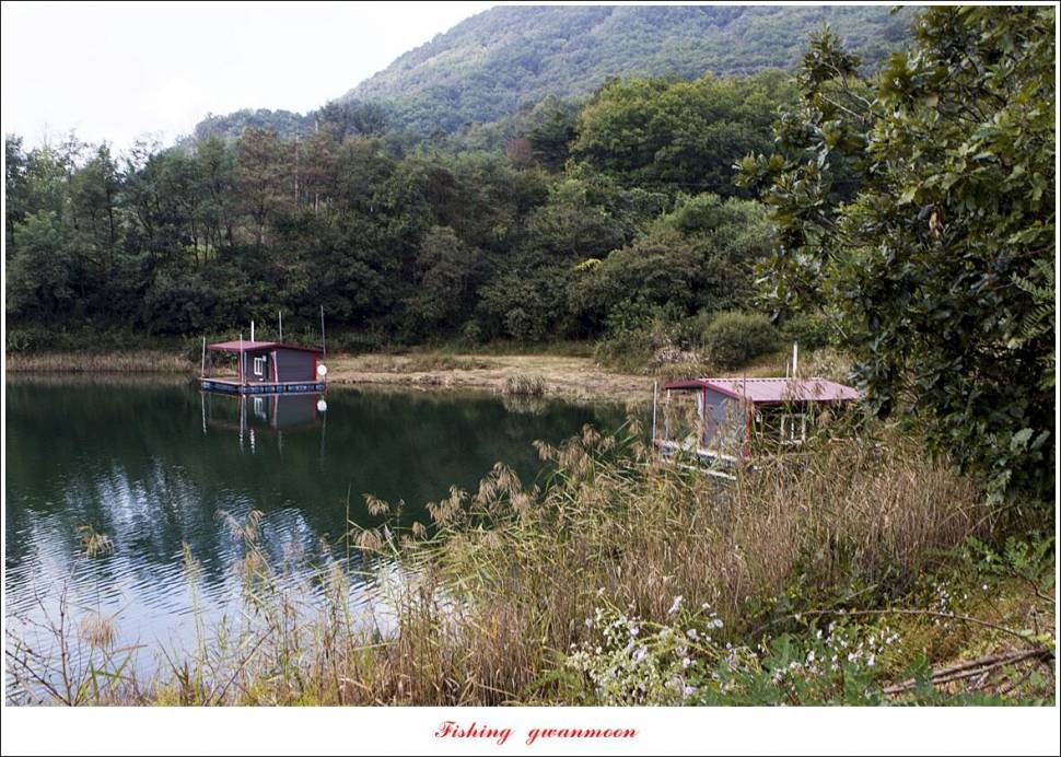 솔 4 짜화곡지 4 짜 및 월척 조황 (조황조행기 - 특파원조황)