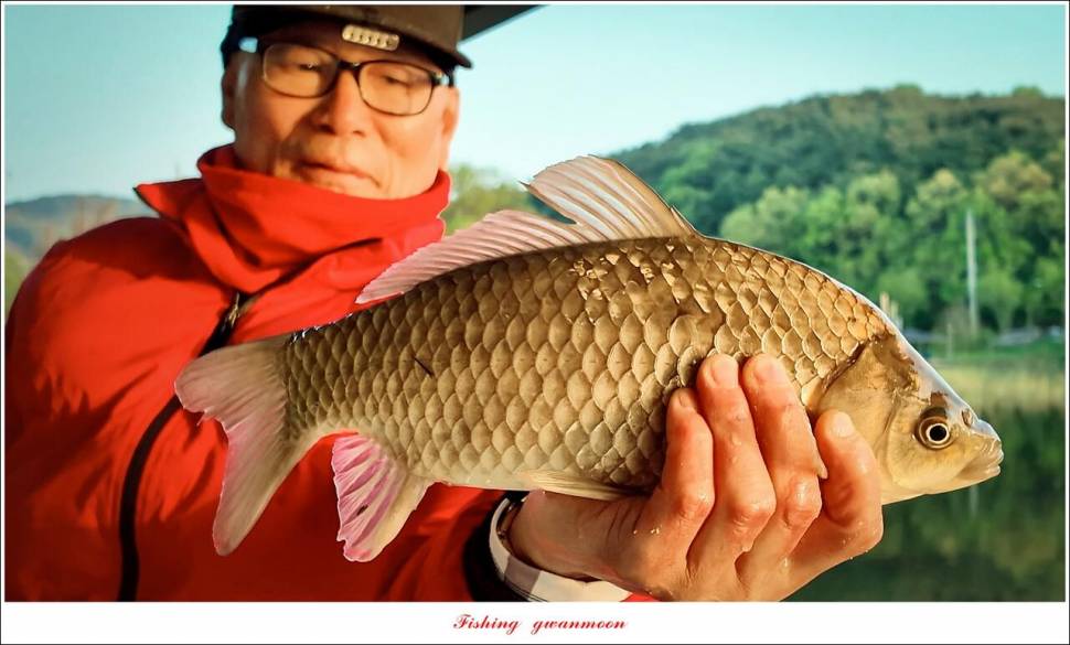 당진 항곡 낚시터 (조황조행기 - 특파원조황)
