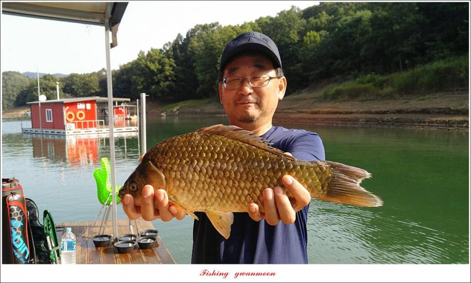 문골 42 cm명서 40 cm 달천강화곡지 조황 (조황조행기 - 특파원조황)