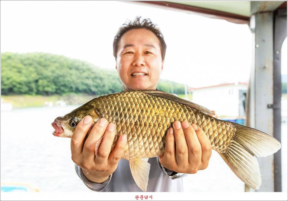 제일 낚시터 대박 조황명서 낚시터 호조황 (조황조행기 - 특파원조황)