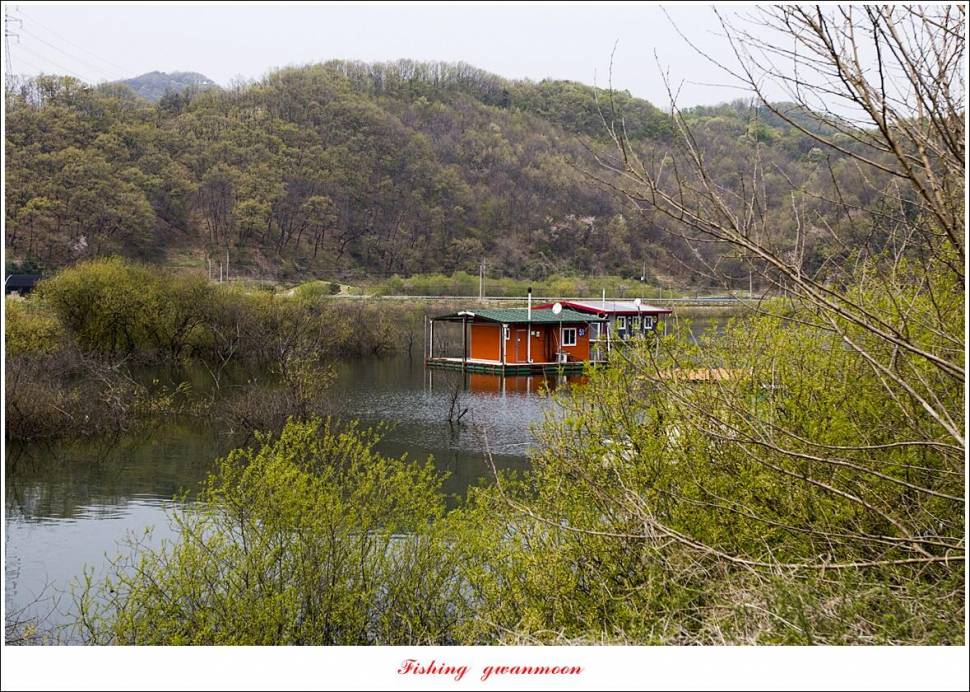 용원지 5 짜 인증 취재 (조황조행기 - 특파원조황)