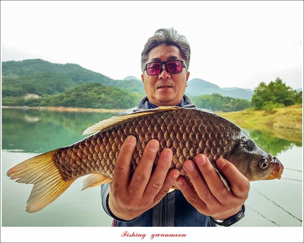 충주호 현황 및 화곡지 4 짜 조황 (조황조행기 - 특파원조황)