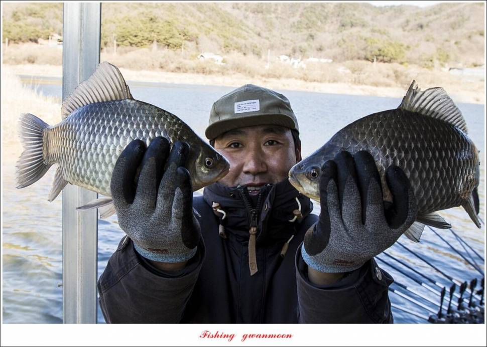 솔 385 cm 외 돌감 월척 조황 (조황조행기 - 특파원조황)