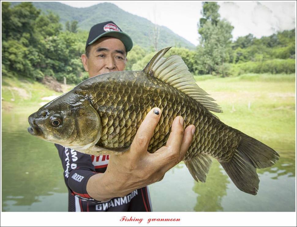 솔 4 짜 호조황제일 4 짜사오리 4 짜 조황 (조황조행기 - 특파원조황)