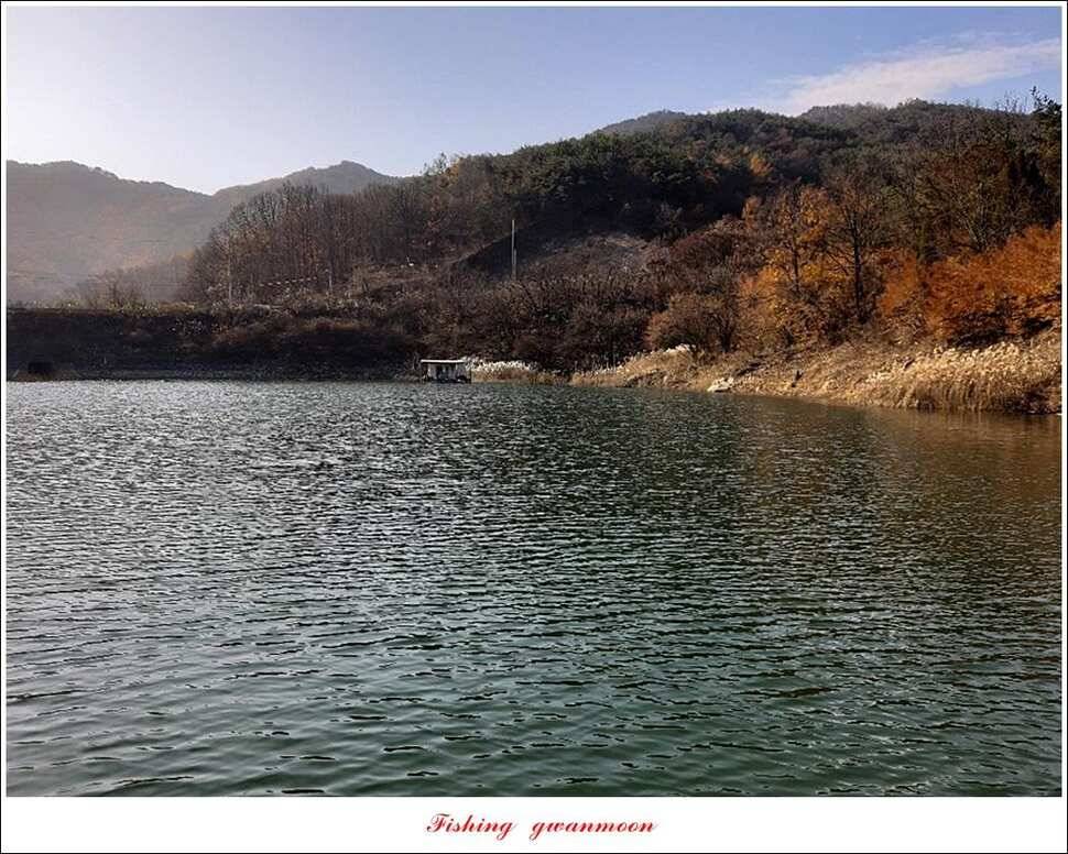 제일 405 cm돌감 386 cm 대물 조황 (조황조행기 - 특파원조황)