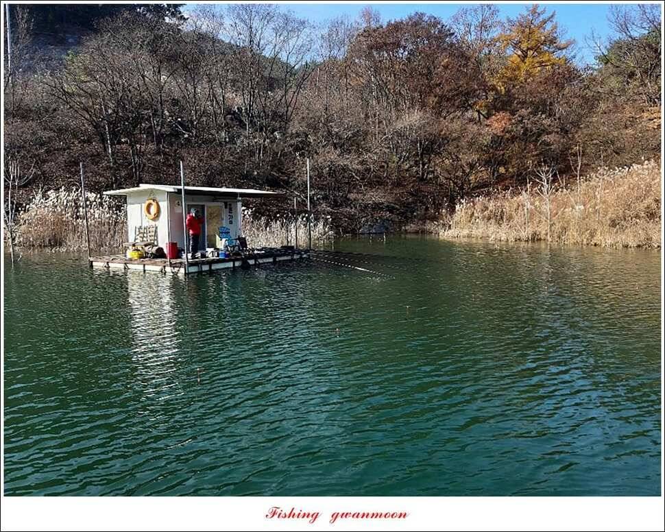 제일 405 cm돌감 386 cm 대물 조황 (조황조행기 - 특파원조황)