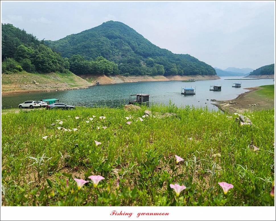 목벌 낚시터 4 짜 대물 조황 (조황조행기 - 특파원조황)