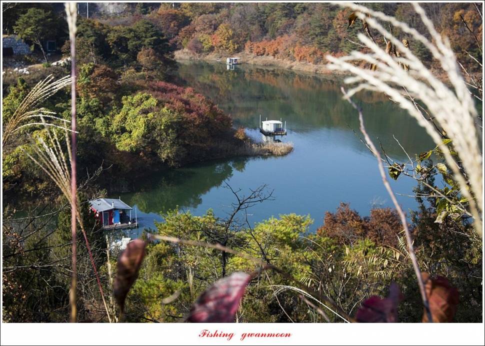 돌감 4 짜 대물 조황 (조황조행기 - 특파원조황)