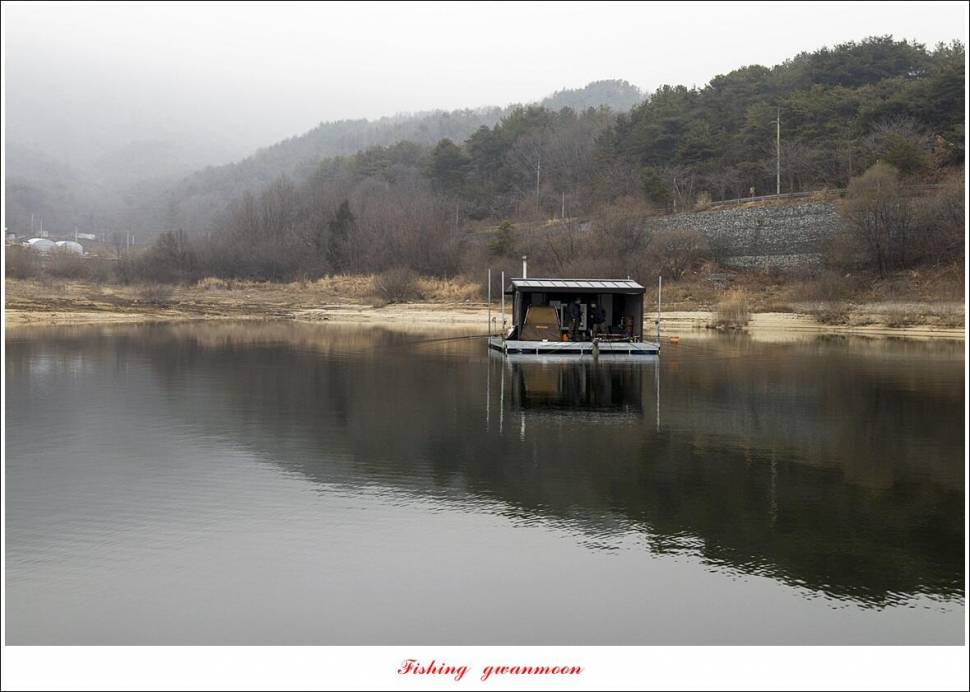 솔 4 짜 대물 조황 (조황조행기 - 특파원조황)