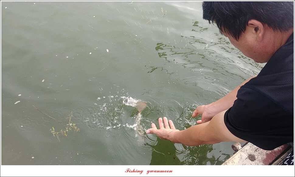 종점 4 짜제일신매 낚시터 조황 (조황조행기 - 특파원조황)