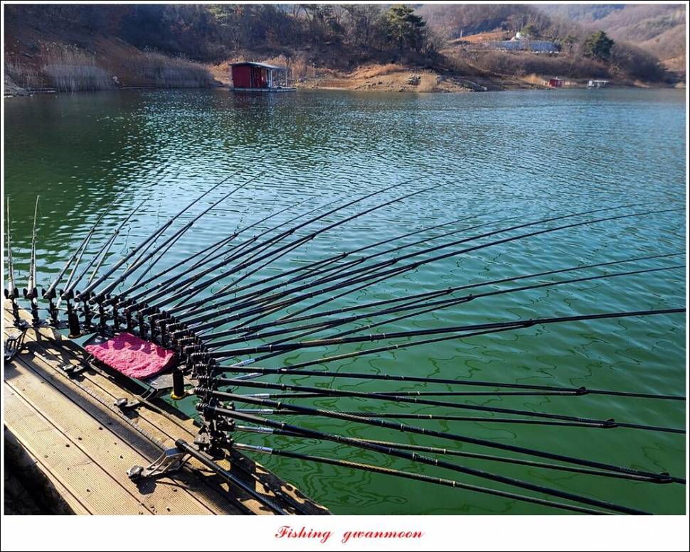 돌감 38 cm 및 화곡지외 주변 조황 (조황조행기 - 특파원조황)