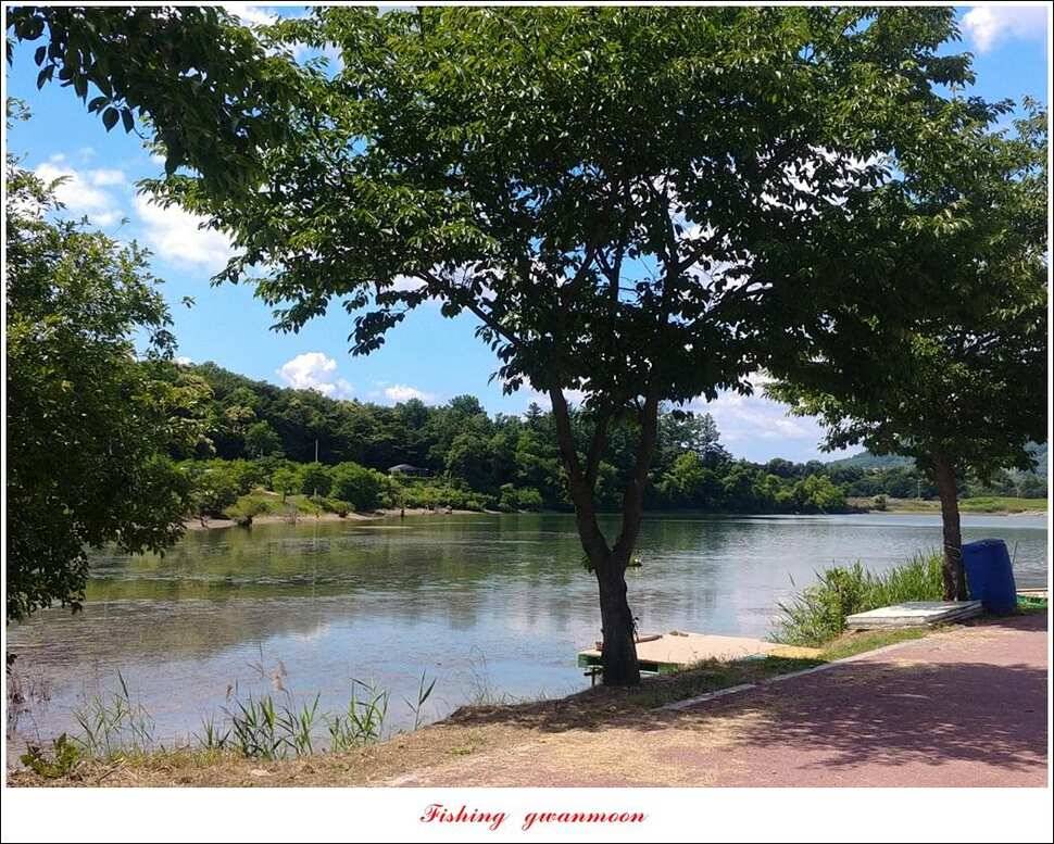 돌감 좌대칠성지 월척 달천강 사짜 및 월척 조황 (조황조행기 - 특파원조황)