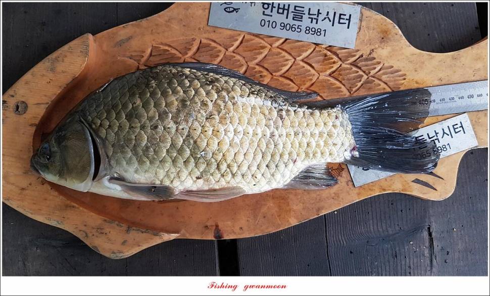 한버들 4 짜 2 수신리 4 짜명서 4 짜 및 충주호 노지 현황 (조황조행기 - 특파원조황)
