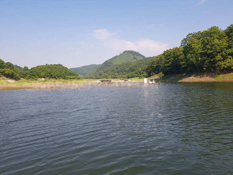 하천 4짜에 마릿수도 대박목벌도 4짜명서에도 꾸준한 조황 (조황조행기 - 특파원조황)