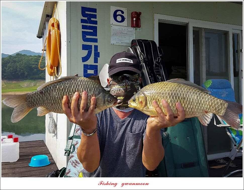 병호 월척장어돌감 38 cm385 cm솔 40 cm (조황조행기 - 특파원조황)