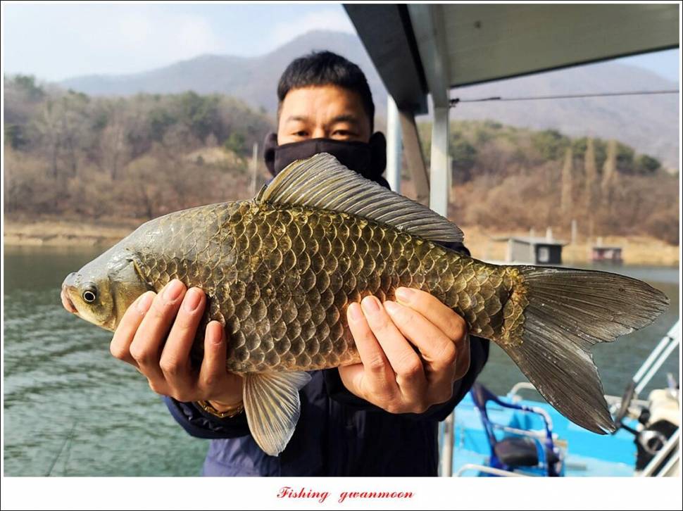 솔 45 cm 대물 조황 (조황조행기 - 특파원조황)