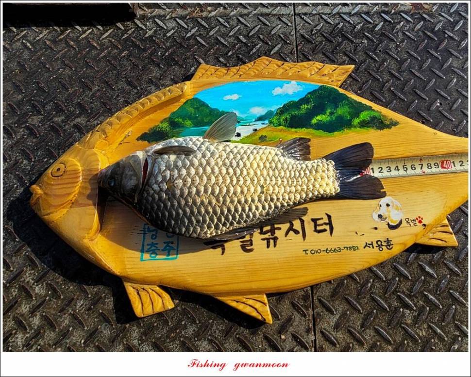 목벌 43 cm37 cm소류지 4 짜솔 낚시터 월척화곡지 대물 조황 (조황조행기 - 특파원조황)