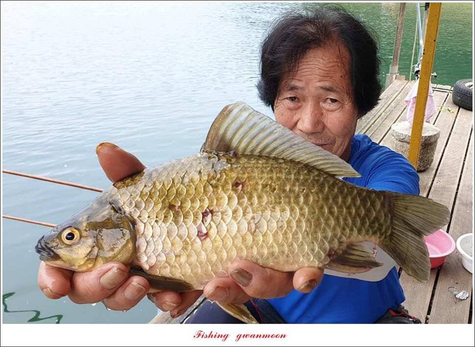 늘푸른 키로 장어제일 월척 조황 (조황조행기 - 특파원조황)