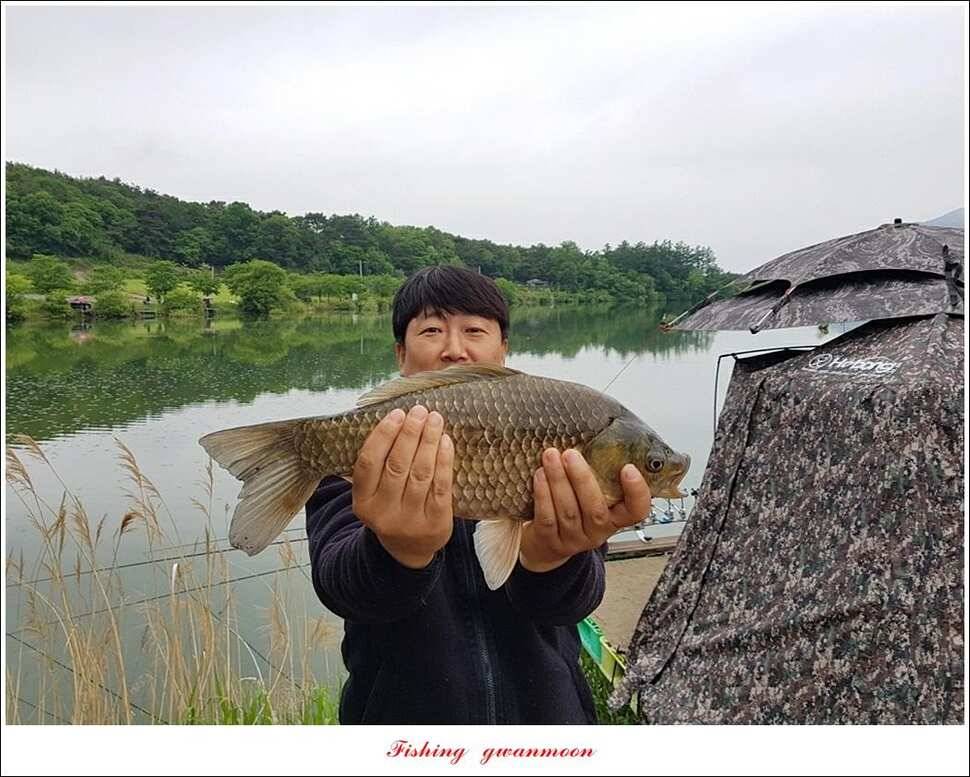 실리곡 4 짜돌감 395 cm칠성지 4 짜 (조황조행기 - 특파원조황)