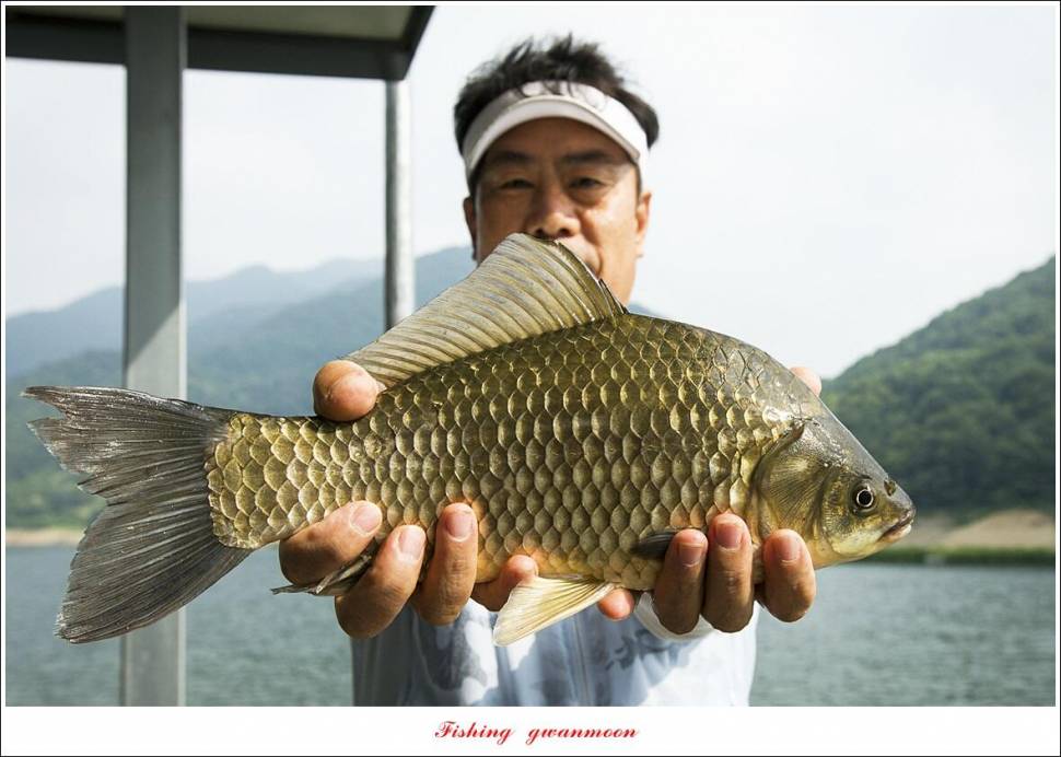 목벌 4 짜솔 4 짜 및 삼십후반 대물 조황 (조황조행기 - 특파원조황)