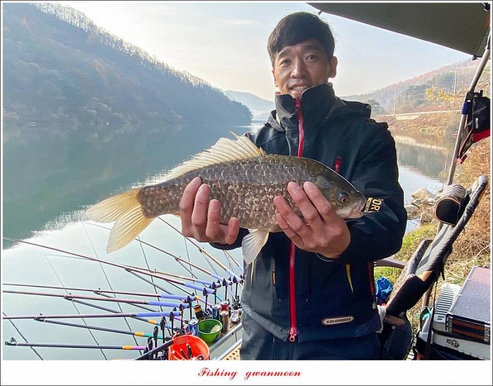 실리곡 41 cm40 cm광월지 43 cm대물 조황 (조황조행기 - 특파원조황)