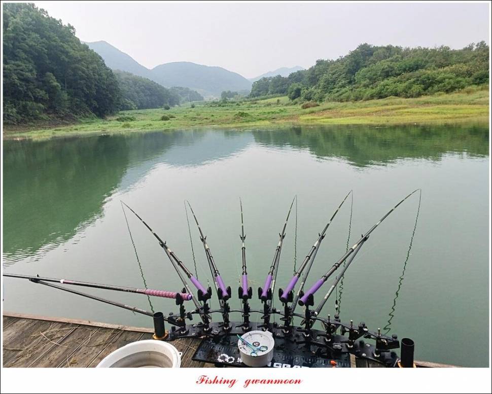 한버들 455 cm솔 415 cm제일 월척 조황 (조황조행기 - 특파원조황)