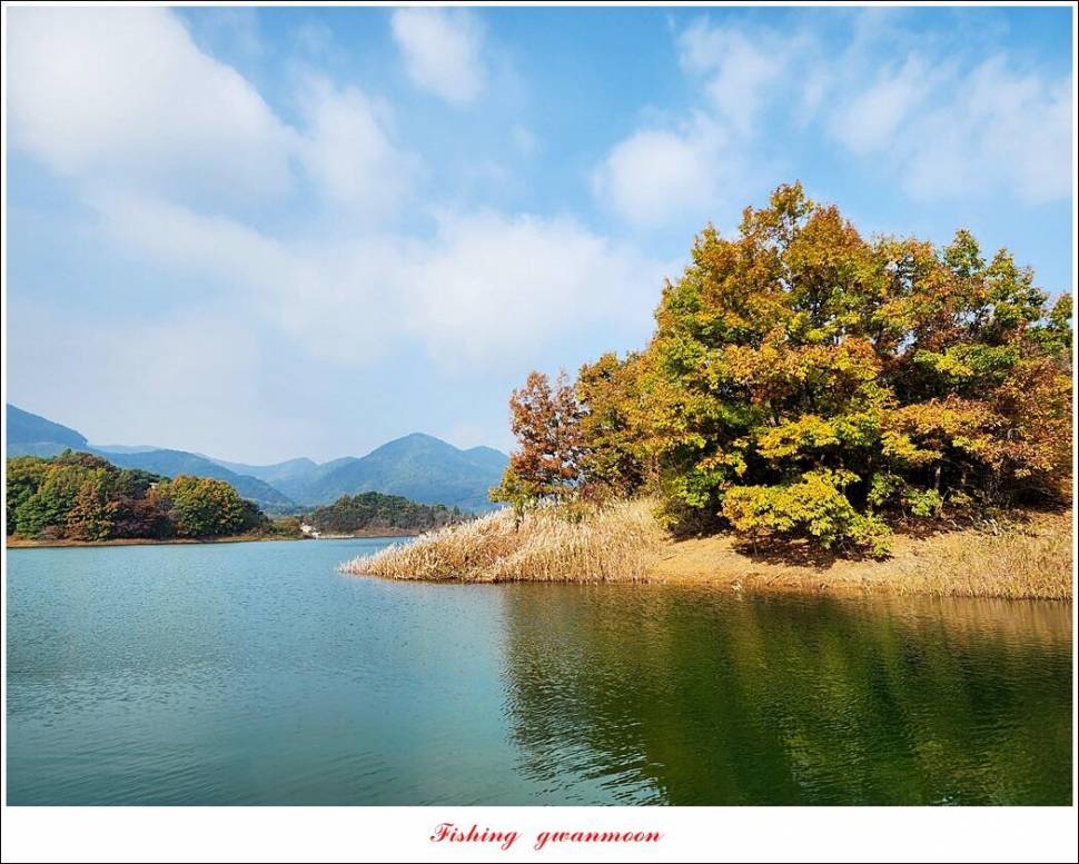 돌감 4 짜솔 39 cm38 cm마릿수 월척 조황 (조황조행기 - 특파원조황)