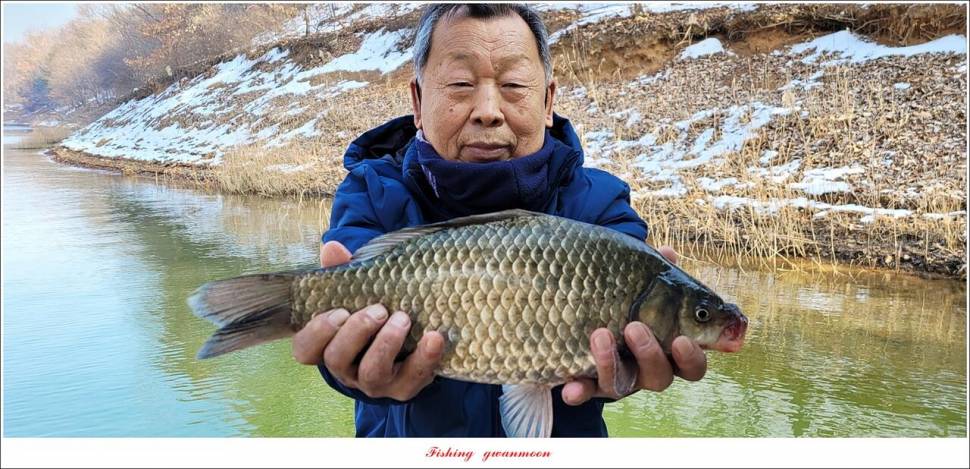 솔 4 짜신리 4 짜 대물 조황 (조황조행기 - 특파원조황)