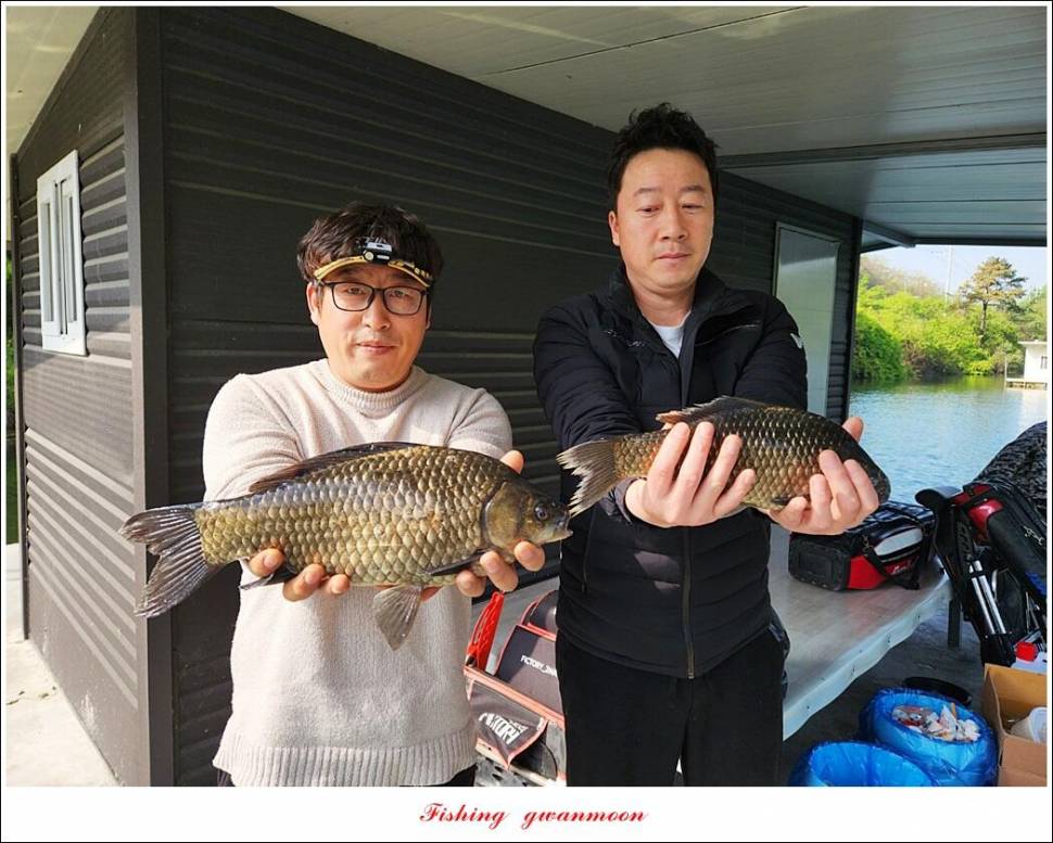 제일 4 짜화곡지 4 짜검단수로 4 짜솔 친선 낚시 대회 (조황조행기 - 특파원조황)