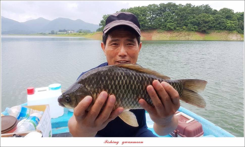 한버들 4 짜 2 수신리 4 짜명서 4 짜 및 충주호 노지 현황 (조황조행기 - 특파원조황)