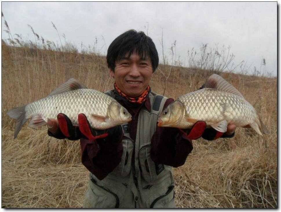 평택호주말 조황 (조황조행기 - 특파원조황)
