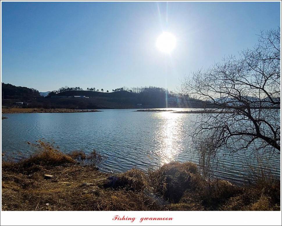 돌감 38 cm 및 화곡지외 주변 조황 (조황조행기 - 특파원조황)