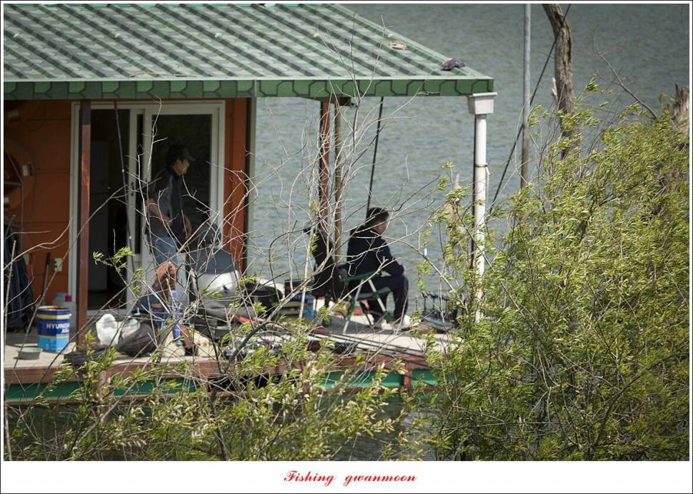 화곡지용원지 조황 (조황조행기 - 특파원조황)