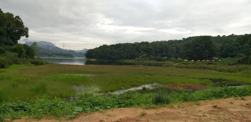고삼지4짜와 대물들 마릿수 (조황조행기 - 특파원조황)