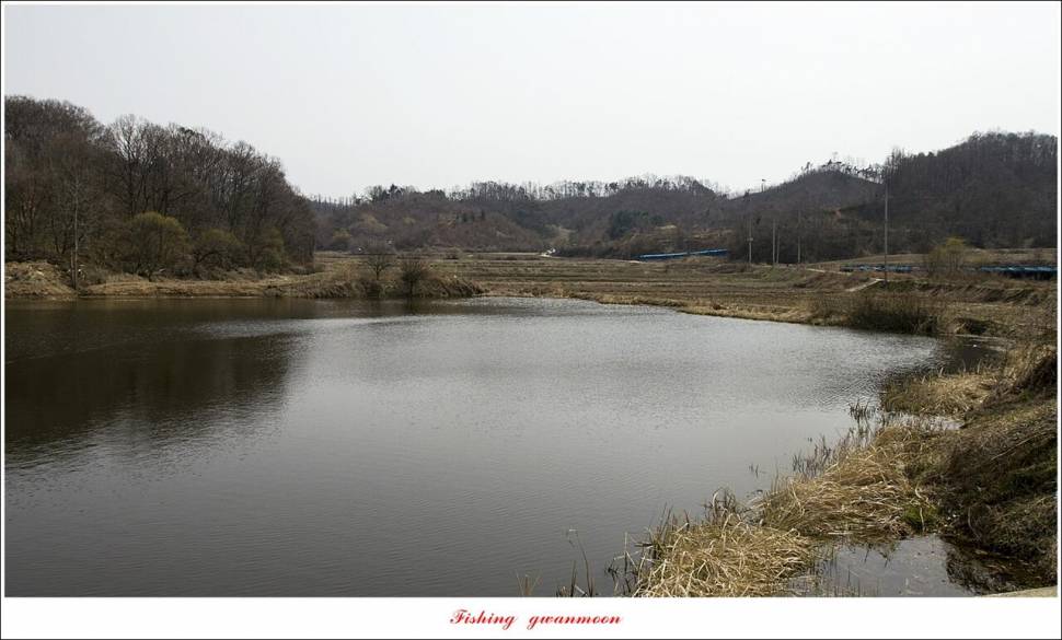 칠성지 4 짜 및 솔 낚시터 월척 조황 (조황조행기 - 특파원조황)