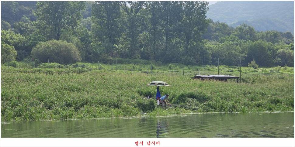 제일 낚시터 대박 조황명서 낚시터 호조황 (조황조행기 - 특파원조황)