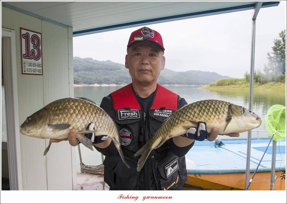 제일솔종점 4 짜 대물 및 화곡지 호조황 (조황조행기 - 특파원조황)